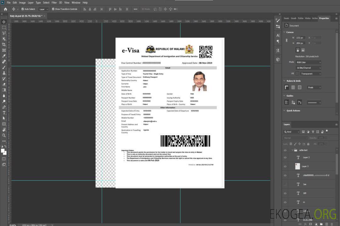 Visa électronique MALAWI template